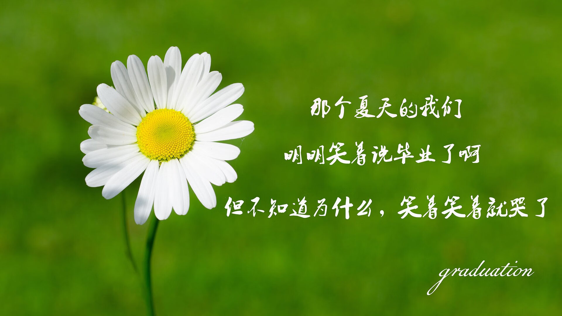 乐鱼电竞在线平台登录入口-《最具潜力新人：电竞舞台的未来之星》，电竞未来知乎
