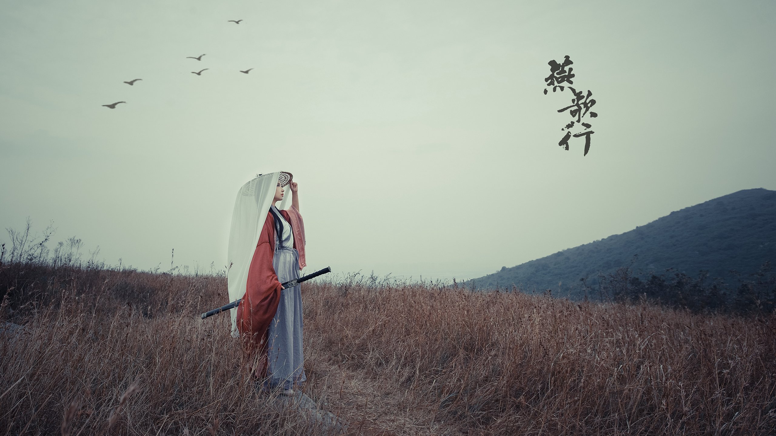 《战术板：顶级队伍的战术分析与解读》，战术模板
