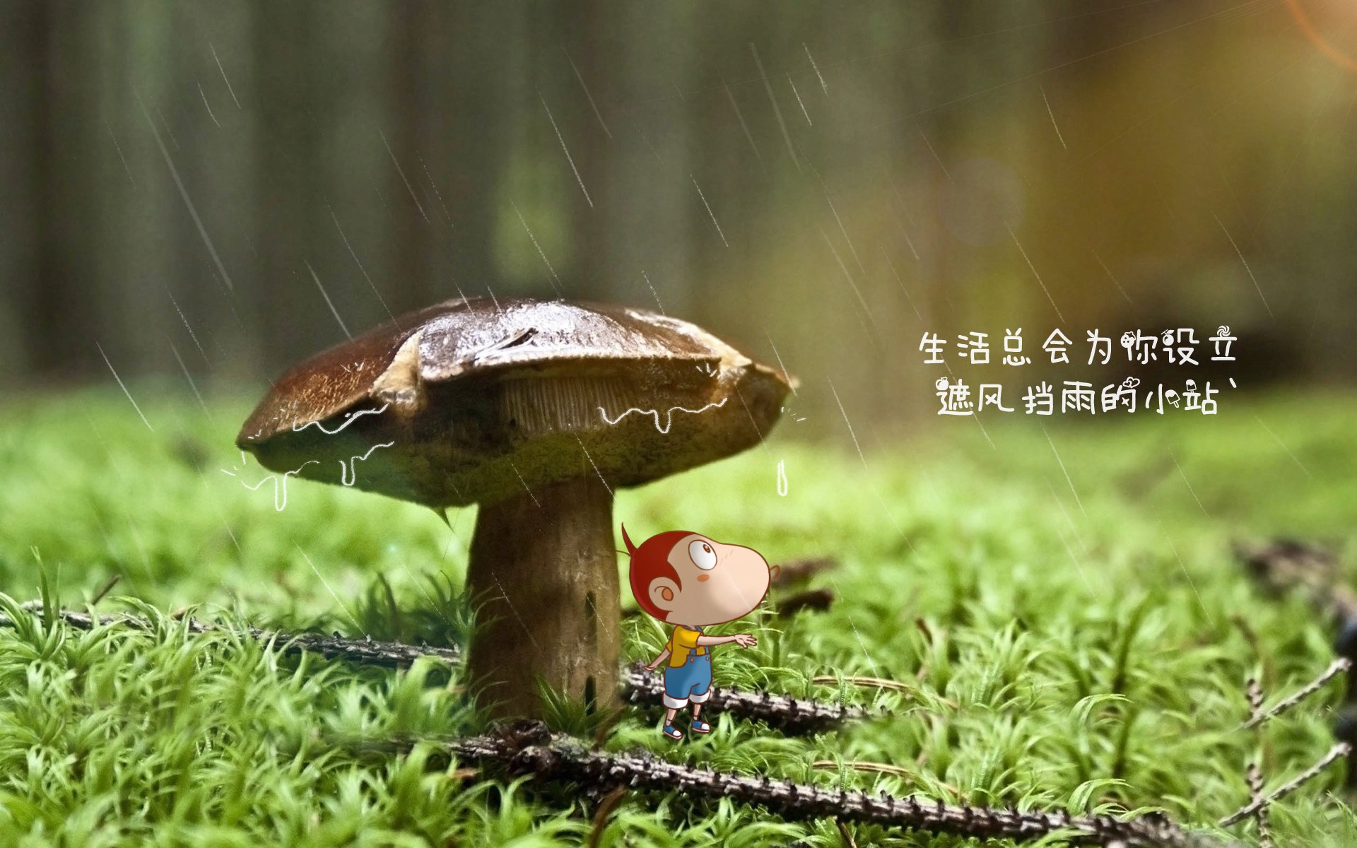 国际飞盘嘉年华，空中投掷的艺术魅力，飞盘运动比赛