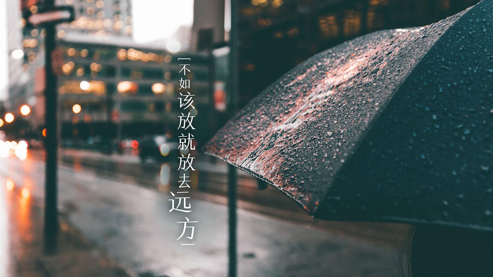 追梦想的篮球少年：联盟最青睐的未来新星，篮球少年歌