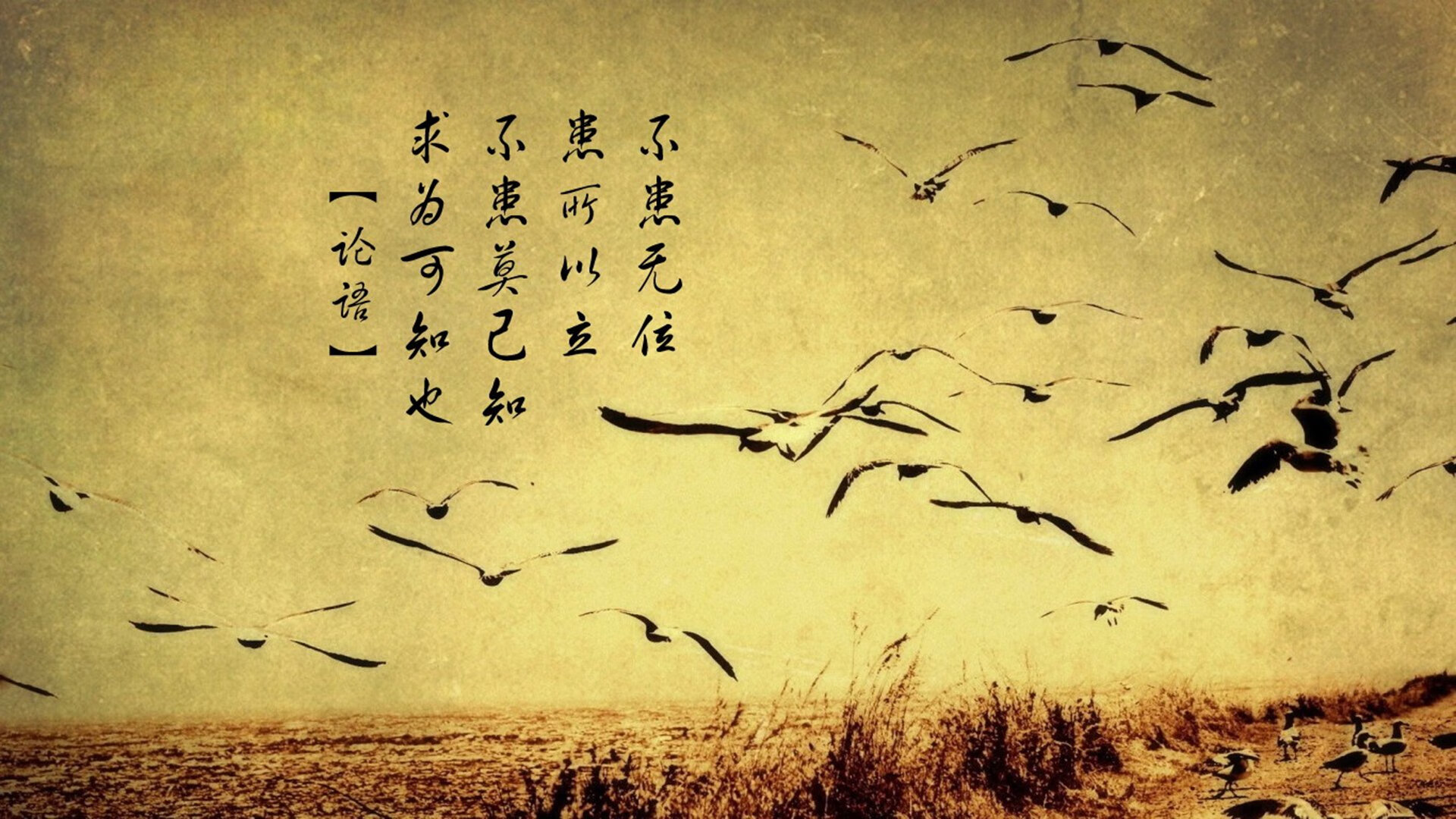 体育赛事热情高涨，球迷热血沸腾，体育赛事热度排行榜
