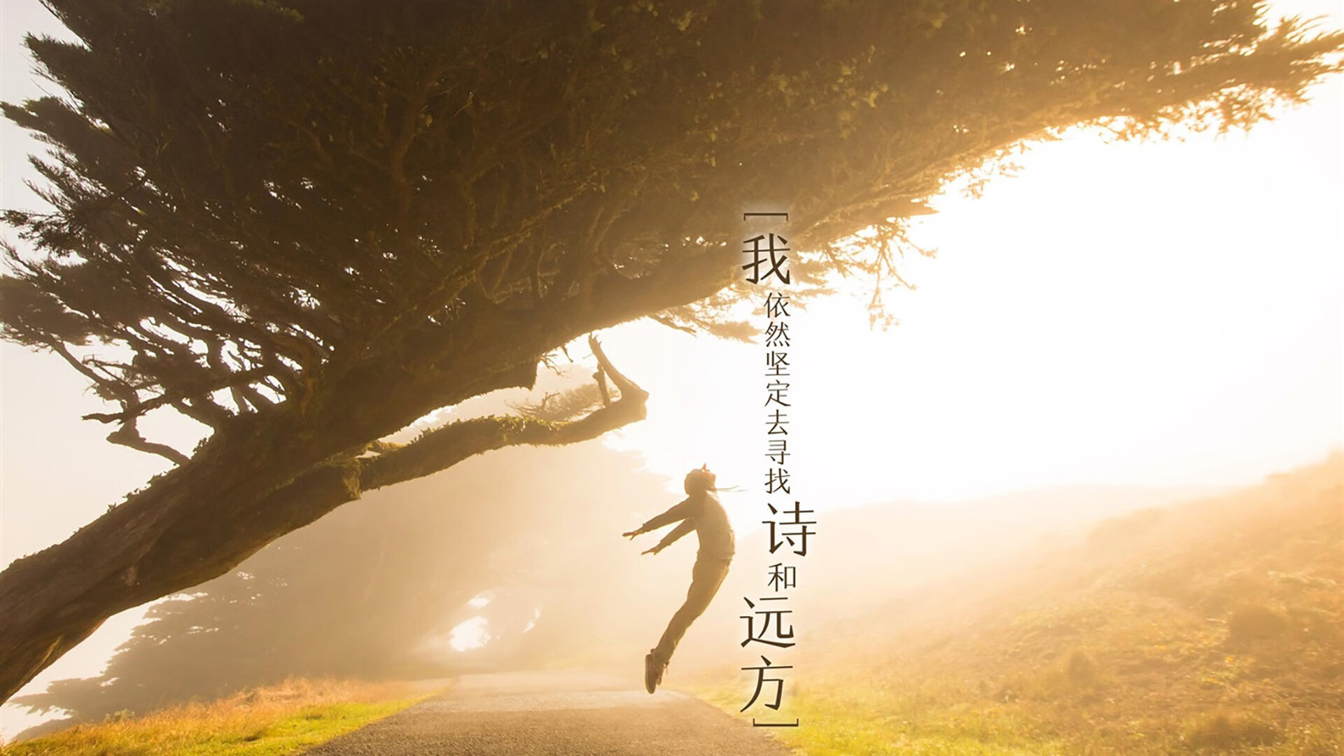 昂热迎战里尔，期待主场赢球破连败，昂热vs雷恩预测