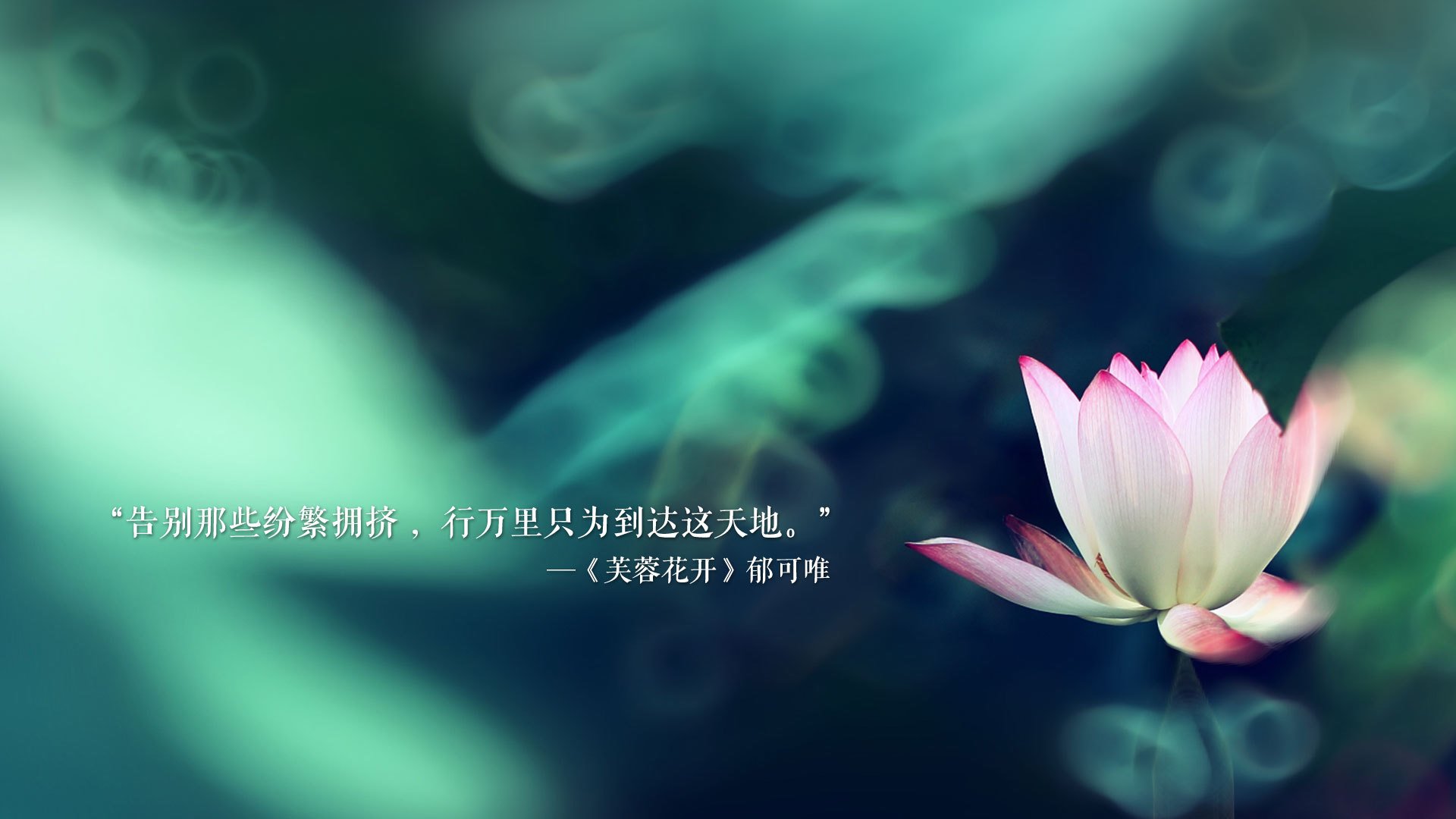 leyu.com-湖人队赛季目标调整解读，新赛季湖人队员