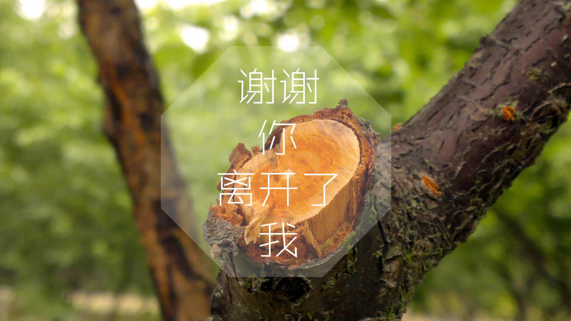 电竞城市加强电竞人才引进政策，电竞专业人才缺口