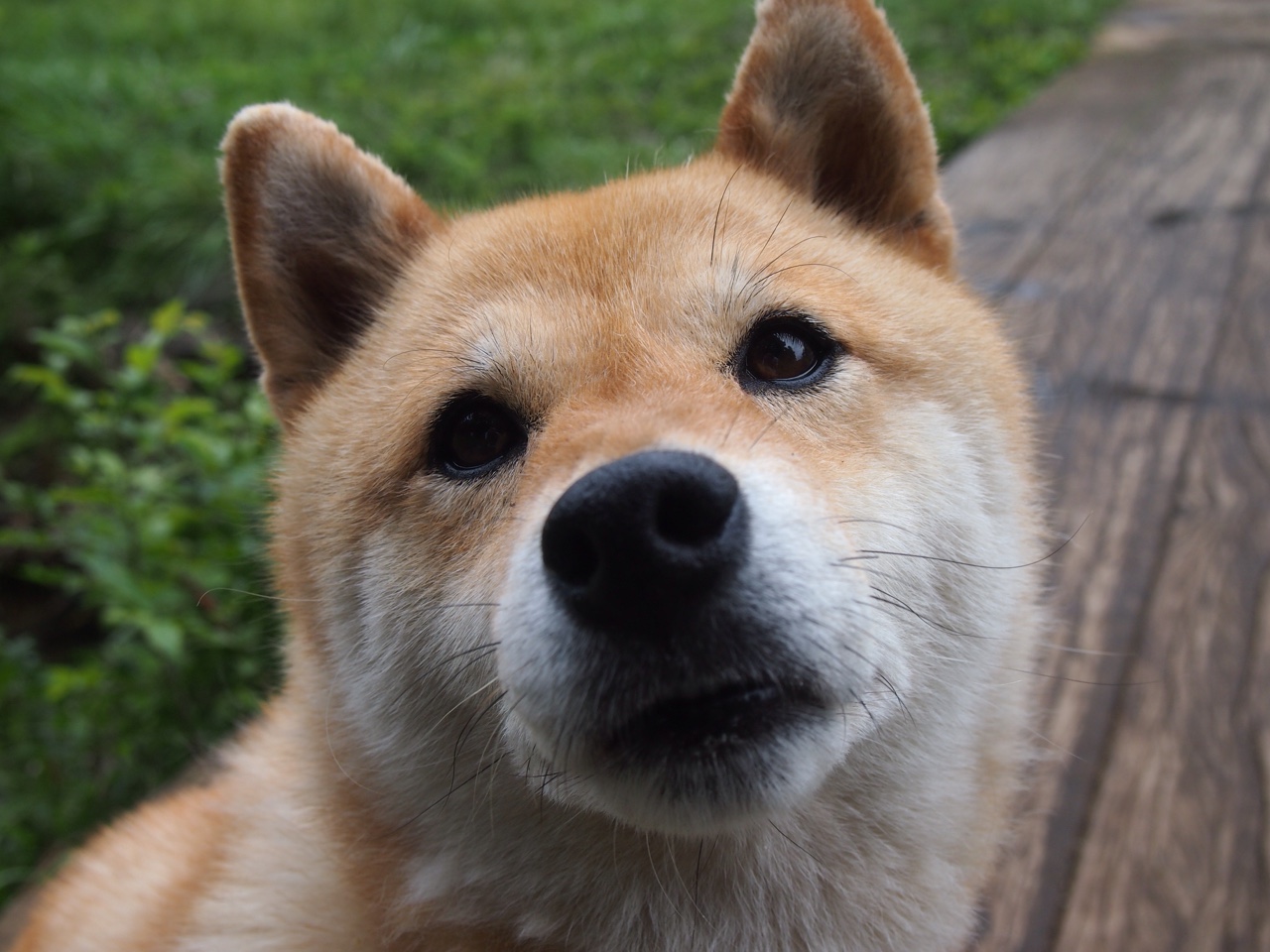 电竞战队财务管理体系构建及盈利模式优化策略研究，电竞战队怎么盈利