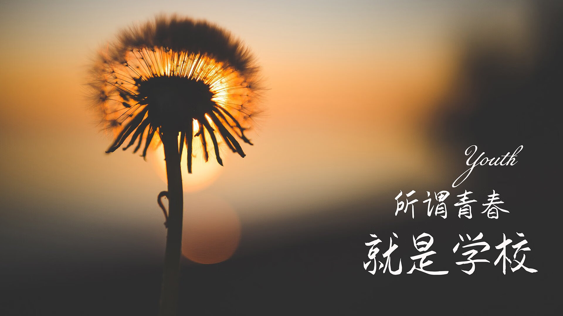 荷兰经典战役，阿贾克斯逆转胜埃因霍温，荷兰阿贾克斯足球俱乐部