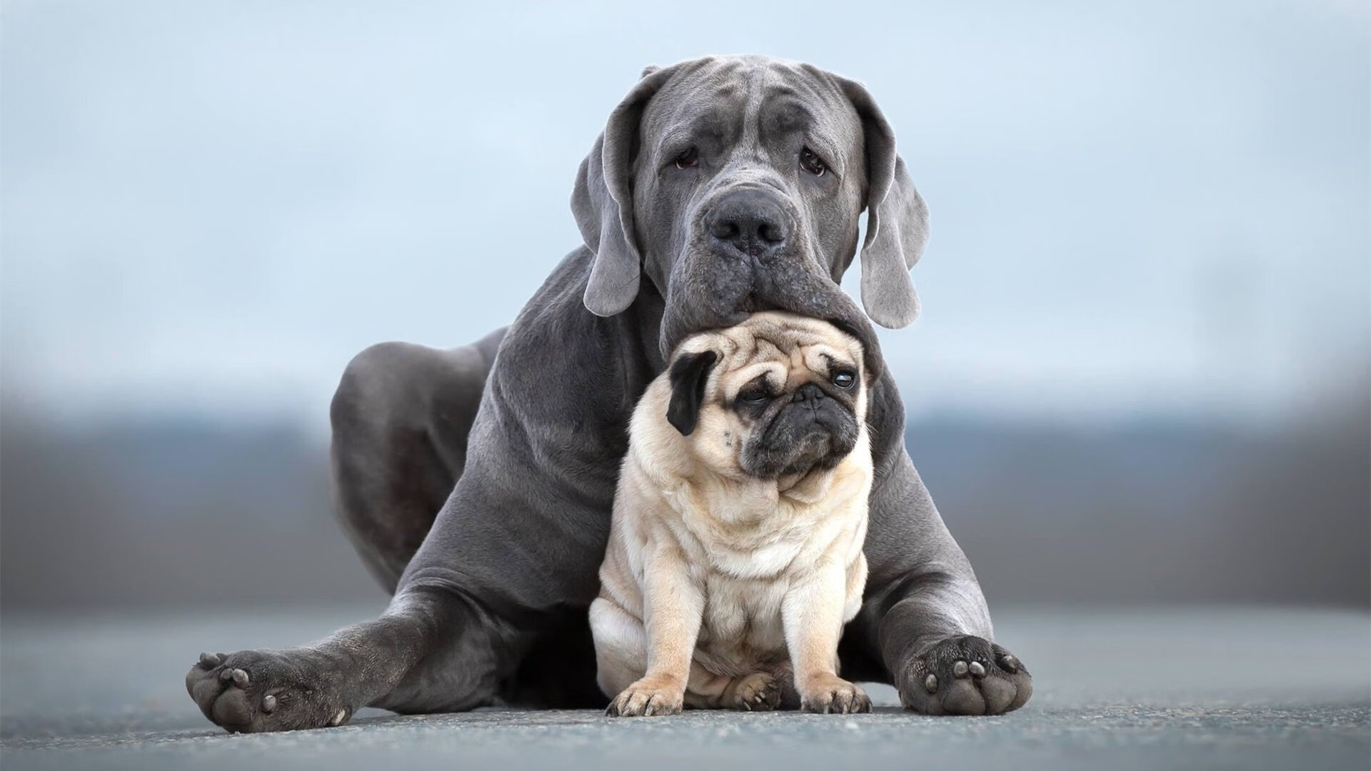 中国篮球职业联赛年轻球员培养体系创新研究，中国年轻篮球明星