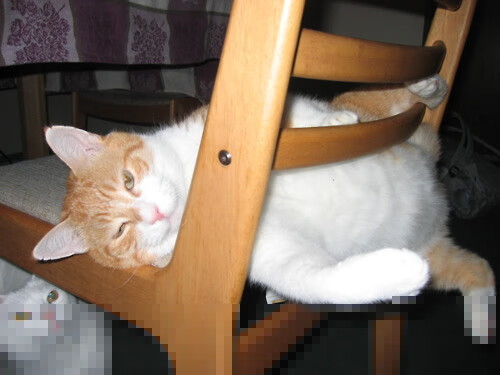 中国足球年度进攻节奏变化趋势图解，中国国家足球队进球纪录