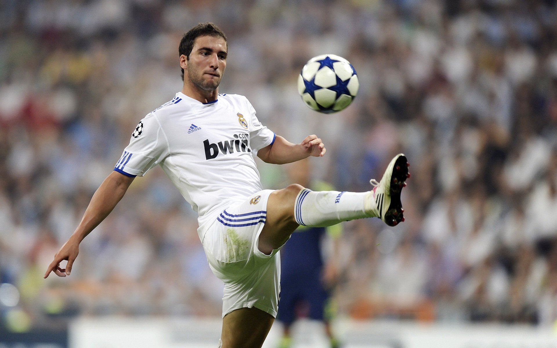 日本队新星闪耀赛场!,日本足球十大新星